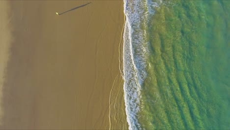 Toma-Aérea-Que-Mira-Directamente-Hacia-Abajo-Y-Ofrece-Una-Vista-Panorámica-De-Las-Aguas-Cristalinas-De-Color-Aguamarina-Frente-A-La-Playa-De-La-Isla-Fraser,-Y-Sobre-Las-Arenas-Y-Las-Huellas-De-Los-Neumáticos-De-Los-Camiones-4x4