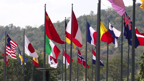 various national flags fluttering against a natural backdrop