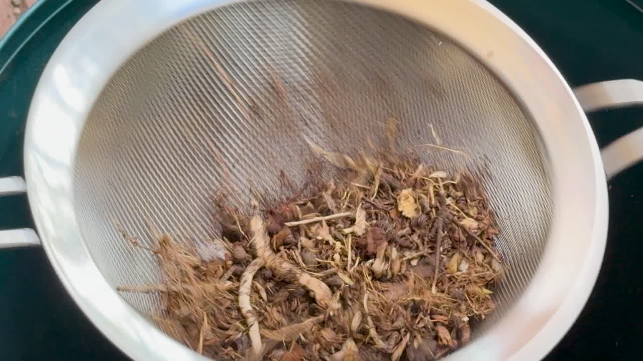 Organic compost is shaken in a handheld metal strainer, filtering soil in bright outdoor lighting