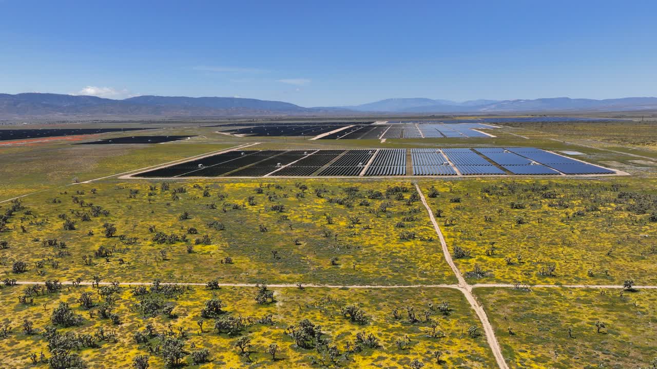 campo de paneles solares en el desierto de mojave en primavera con árboles de josué y flores silvestres en flor - aérea