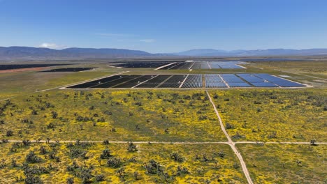 solar panel field in the mojave desert in spring with joshua trees and blooming wildflowers - aerial