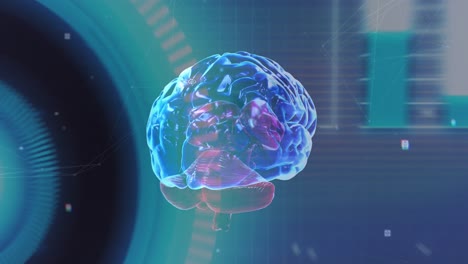 animación del cerebro humano con procesamiento de datos de interfaz digital