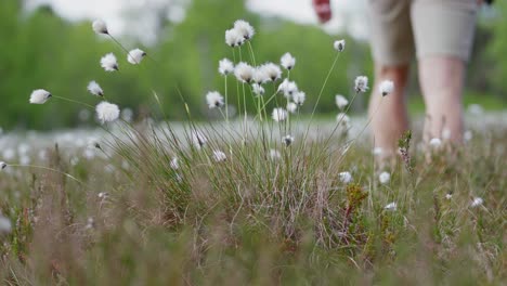 person walks through wildflower fields in the countryside of norway