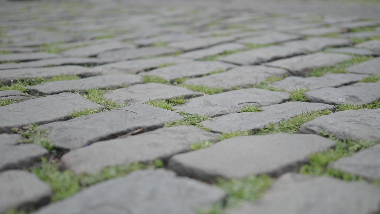 Textured Cobblestone Pavement with Green Grass Growing Between Stones