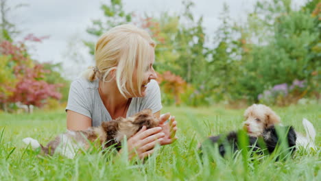 Woman-Petting-Havanese-Puppies