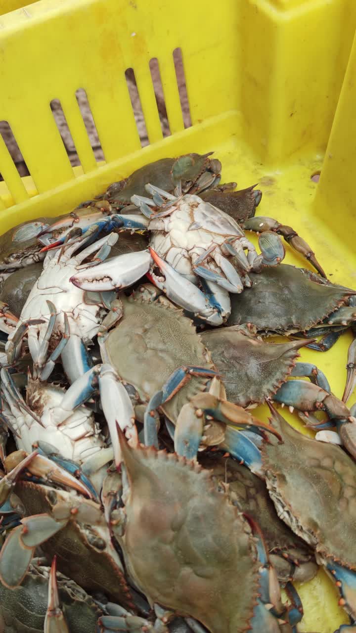 A yellow container filled with crabs