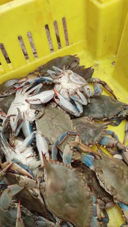a yellow container filled with crabs