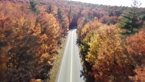 scenic autumn drive through vibrant forested landscape with golden leaves in clear daylight