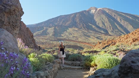 Wide-shot-of-Teide-National-Park-valley-with-mountain,-tourist-walks-on-trail