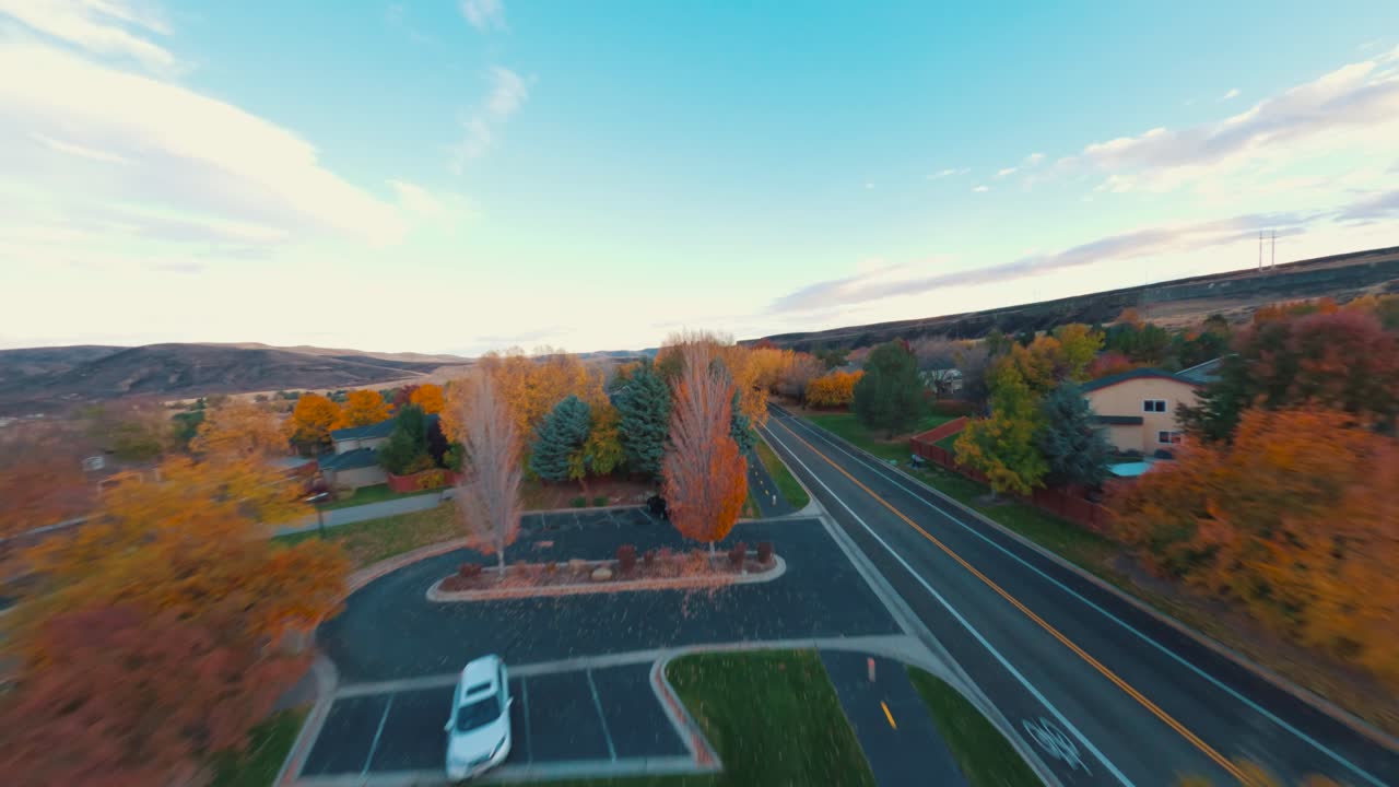 교외에서 쓰러진 나무 근처에서 날아다니는