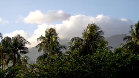 clouds passing over a mountain range on a tropical island in asia with palm trees blowing in the wind 4k