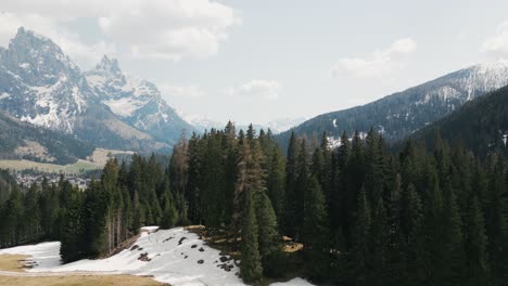 Descending-On-Spruce-Trees-With-Dolomite-Mountain-Range-In-The-Background-In-Italy