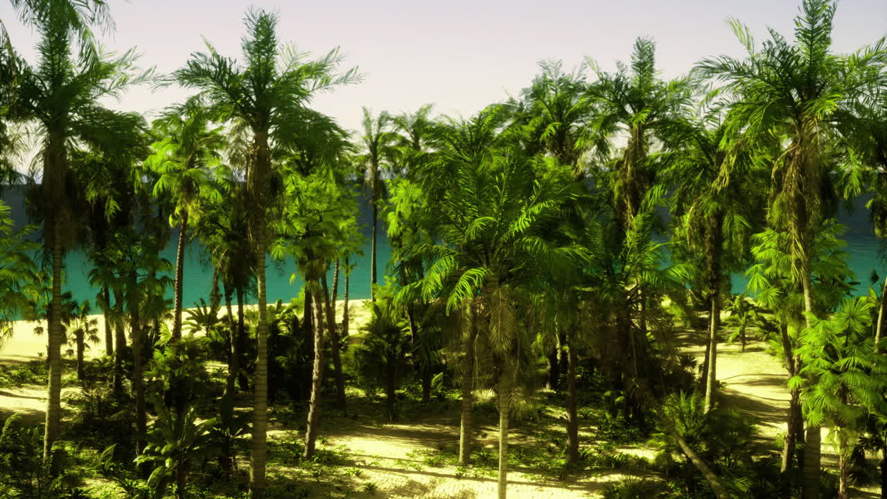 Tropical paradise with lush green palms and tranquil blue water view