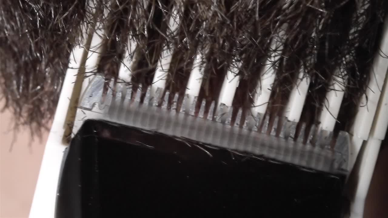 Macro Face Shave: Electric Razor on Dense Facial Hair