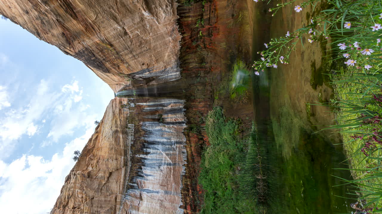 vista vertical de las cataratas superiores de calf creek con plantas verdes en utah, estados unidos
