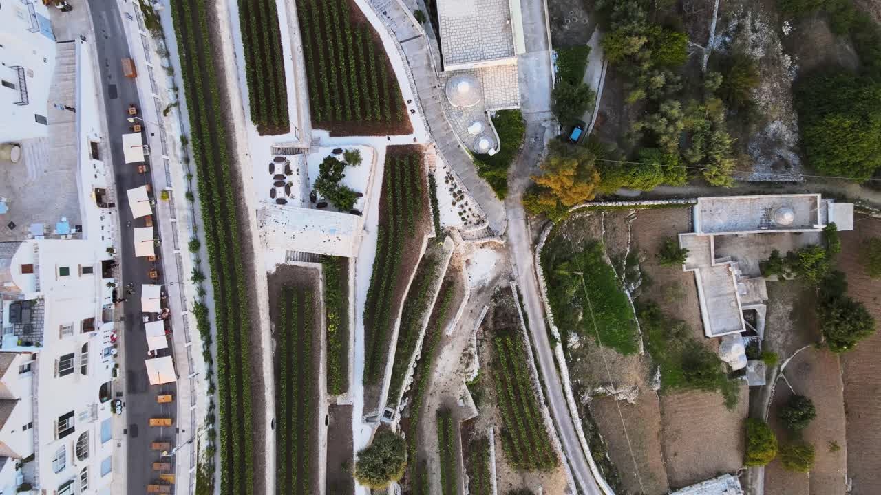 vista aérea de arriba sobre las casas de la aldea de locorotondo y el viñedo de la terraza, ciudad tradicional italiana en la cima de una colina, al atardecer
