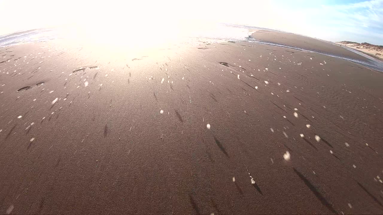 해변에서 폭풍의 해조류 거품, 느린 동작, 모래 해변, 북해, jütland, søndervig, 덴마크, 4k