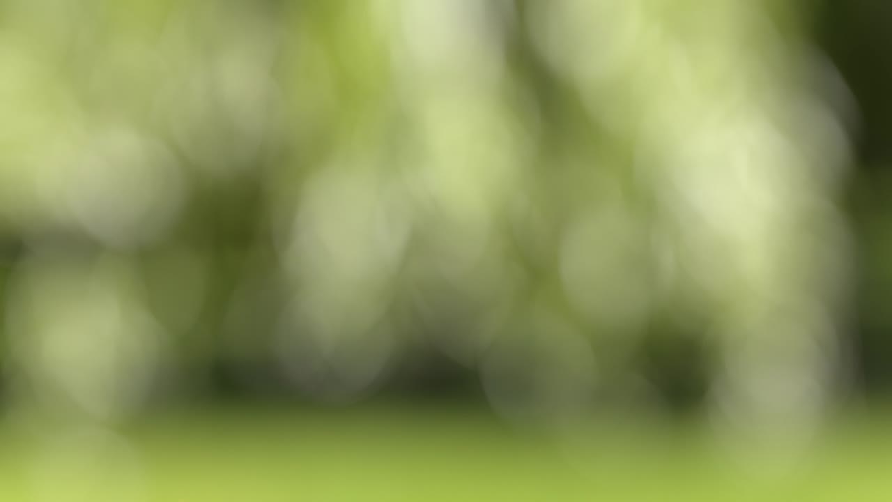 vuelo de piña y rebanadas en el fondo del jardín