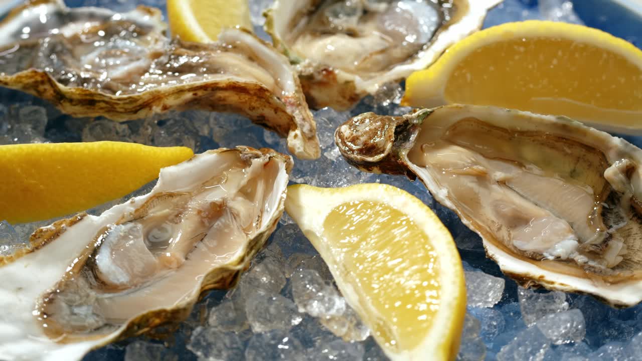 Oysters and Lemon on Ice