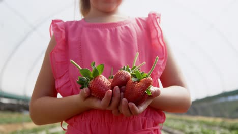 Girl-holding-strawberries-in-the-farm-4k