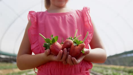 Niña-Sosteniendo-Fresas-En-La-Granja-4k