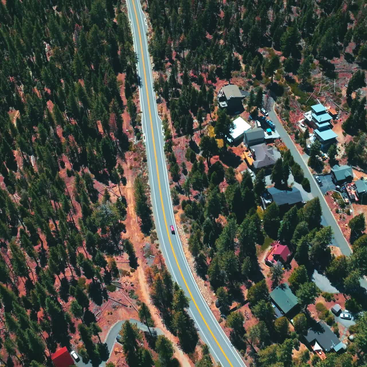 Motorway through the pine tree forest. Flying over the wooded territory with some cottages among the trees