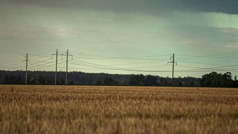 Zeitraffer-Eines-Goldenen-Maisfeldes-Mit-Regenwolken,-Die-über-Das-Land-Fegen,-Lettland