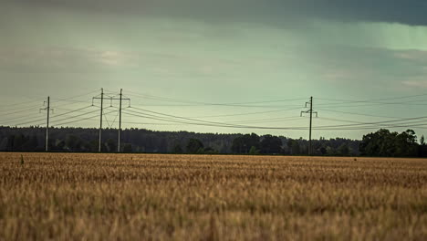 Timelapse-of-a-Golden-Field-of-Maize-with-Rain-Clouds-Sweeping-in-Over-the-Land,-Latvia