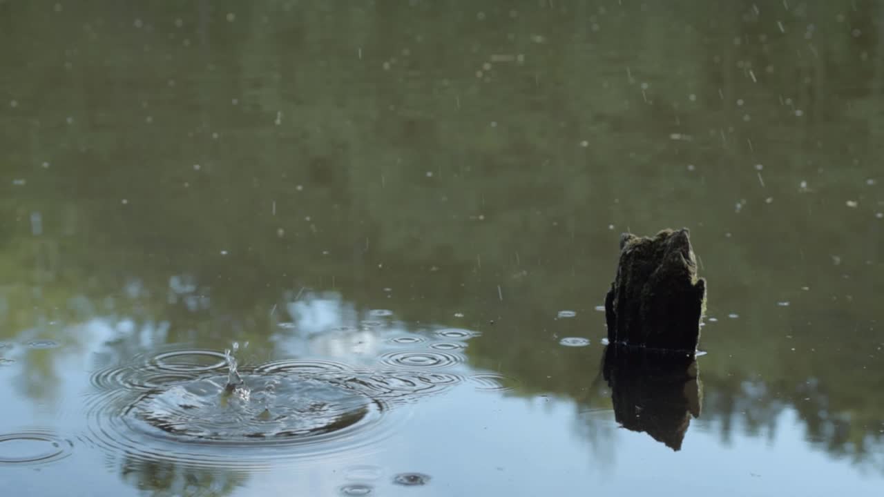 Rippling circles of water in lake