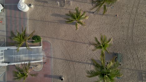 Eine-Drohnenaufnahme-Von-Oben-Nach-Unten-Eines-Wunderschönen-Morgens-Im-Süden-Floridas-Am-Strand-Mit-Luftigen-Palmen-Und-Spurenmustern-Im-Sand