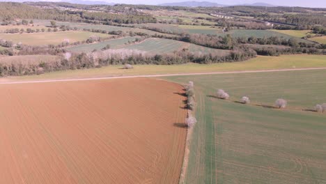 Vistas-Aéreas-Con-Drones-De-Un-Campo-En-El-área-De-Girona-España-Paisaje-Verde-Naturaleza-Agricultura-Orgánica-Tierra-Roja-Seca