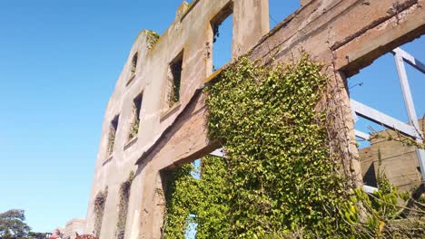 Cardán-En-Auge-Desde-Las-Plantas-Costeras-Hasta-Las-Ruinas-De-La-Antigua-Casa-Del-Alcaide-En-La-Isla-De-Alcatraz-En-La-Bahía-De-San-Francisco