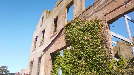 cardán en auge desde las plantas costeras hasta las ruinas de la antigua casa del alcaide en la isla de alcatraz en la bahía de san francisco