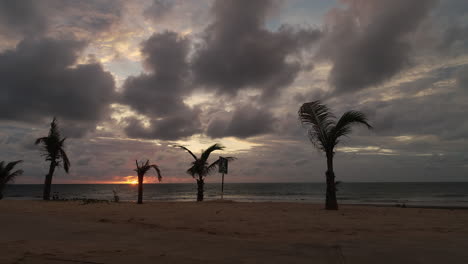puesta de sol y nubes en la playa de senegambia en serrekunda gambia áfrica con palmeras soplando