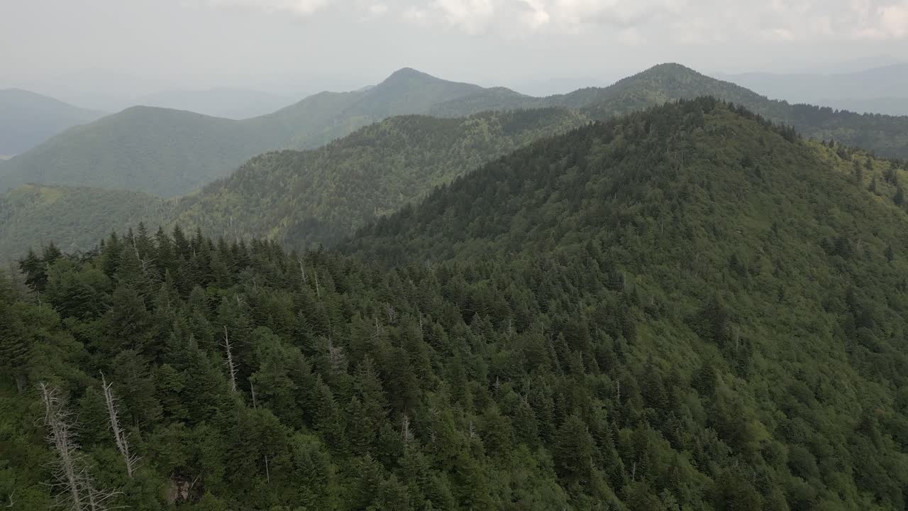 el paso aéreo de la cumbre de la cordillera, el bosque de la niebla en la cordillera azul