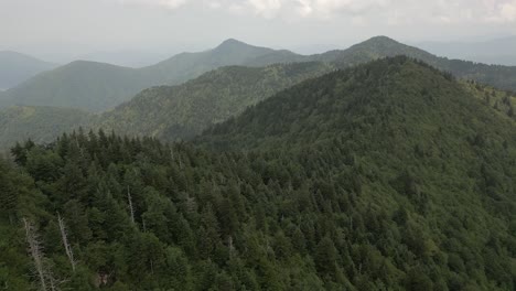 mountain summit ridge flyover, foggy se forest in blue ridge mtns