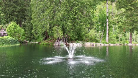 water fountain in the middle of a lake in the forest