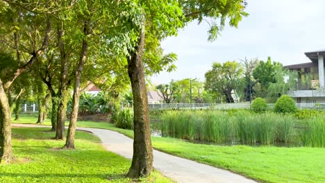 lush greenery and tranquil surroundings at golf course