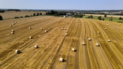 aerial over the harvested golden fields with numerous hay rolls distributed all over the fields