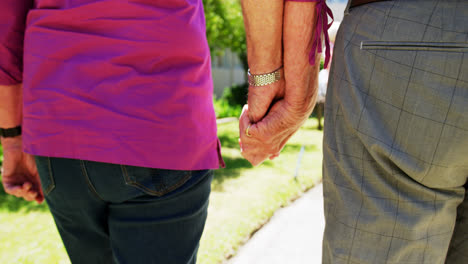 Sección-Media-De-Una-Pareja-De-Ancianos-Activos-Caminando-De-La-Mano-En-El-Jardín-De-Una-Residencia-De-Ancianos-4k