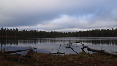 time-lapse-over-a-lake-with-dead-trees-on-the-shore-at-sunset