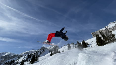 a young ski freestyle athlete is performing a backflip with skis on a swiss alps snow slope with a fir forest in the winter