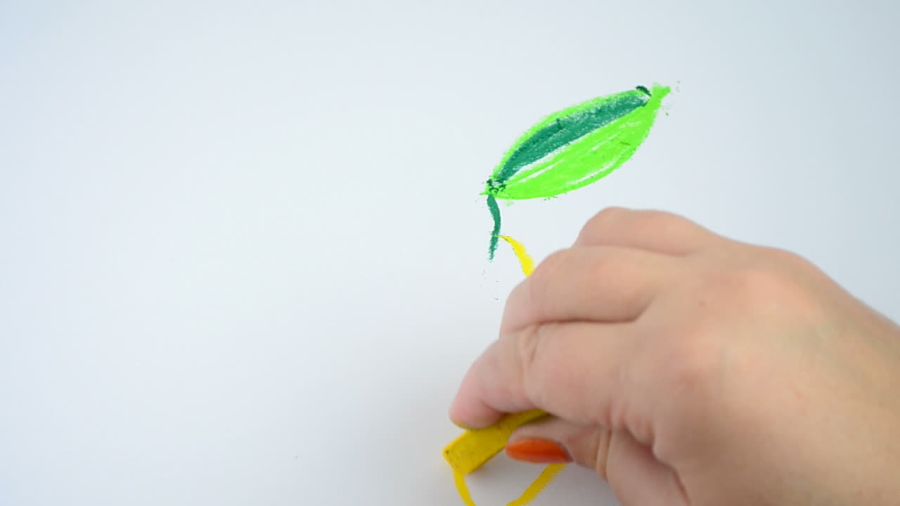 Disegniamo un limone. Processo di disegno