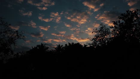 Dramatic-clouds-reflecting-sunlight-with-dark-silhouettes-of-tropical-trees