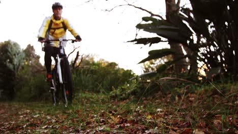 Ciclista-De-Montaña-Masculino-Montando-En-El-Bosque