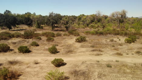 Aerial-shot-of-a-pathway-through-dry-dessert-wildlife-on-a-sunny-day