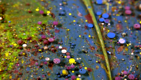 abstract colorful acrylic and food paint bubbles on water