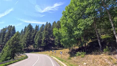 camino sinuoso a través de montañas boscosas y exuberantes