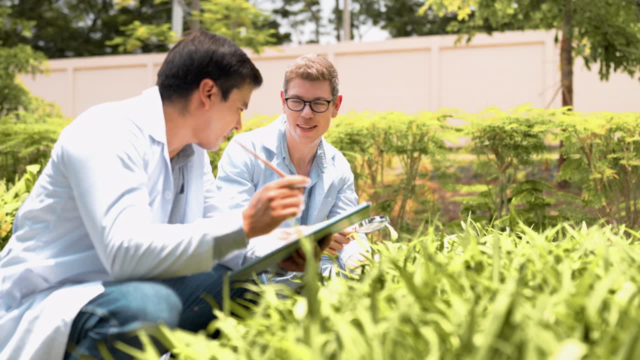dos jóvenes biotecnólogos en bata blanca comprueban la espinaca de agua para la investigación con otras especies de verduras en la granja orgánica. productos de buena calidad, recuerden el cultivo de plantas, el concepto de agricultura del día de la tierra.