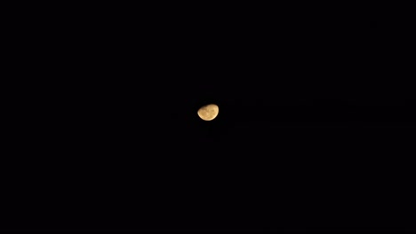 orange moon wide shot australia victoria gippsland maffra